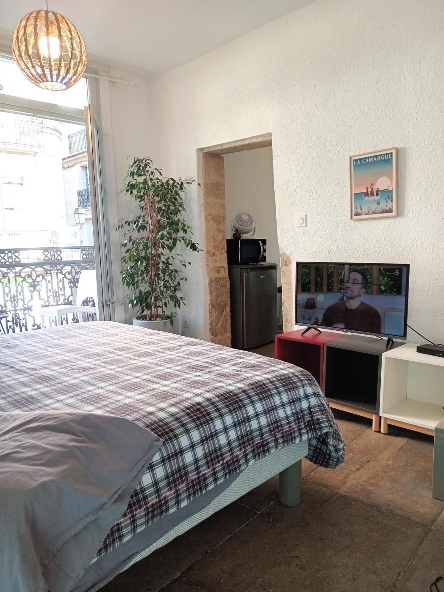 Le Balcon De Saint Roch Apartment Монпелие Екстериор снимка