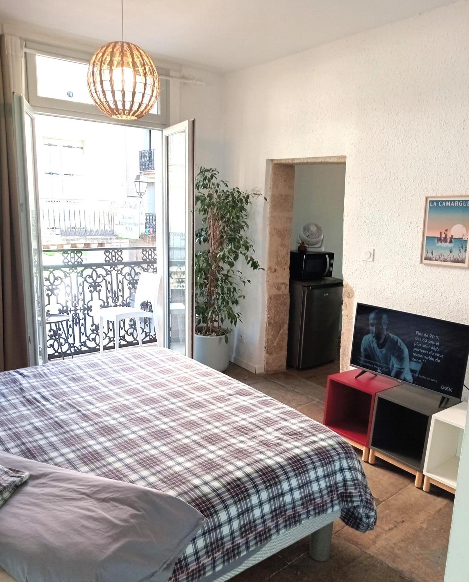 Le Balcon De Saint Roch Apartment Монпелие Екстериор снимка